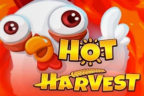 Hot Harvest